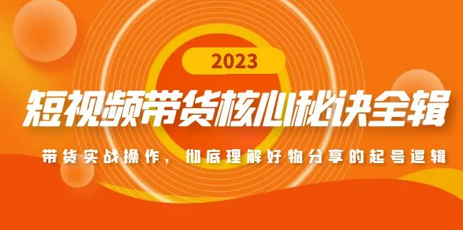 揭秘短视频带货核心秘籍：深度解析好物分享的赚钱逻辑-网赚项目