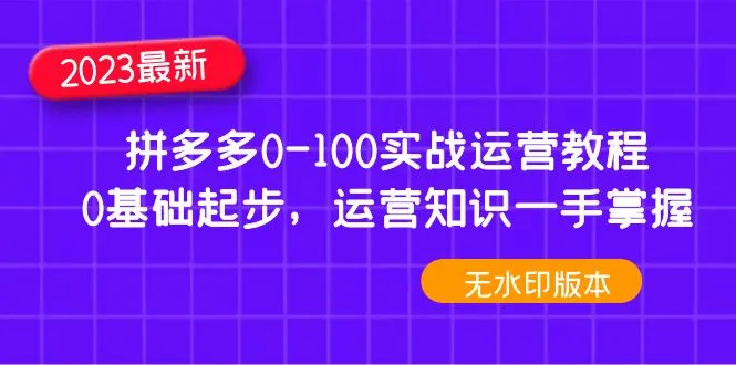 2023拼多多实战运营教程：打造爆款、精准营销全攻略-网赚项目