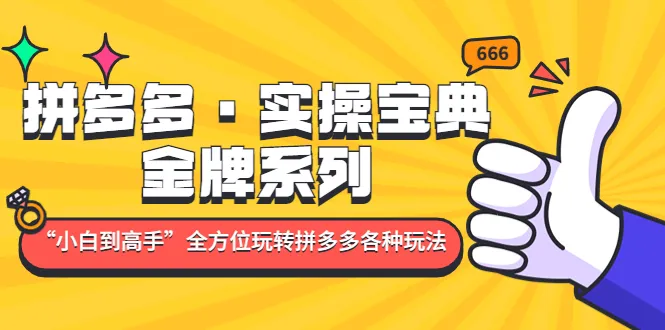 拼多多新手教程：从小白到高手的全方位指南-网赚项目