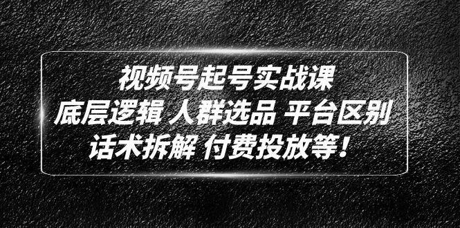 视频号实战课程：深度解析底层逻辑、人群选品与付费投放策略-网赚项目