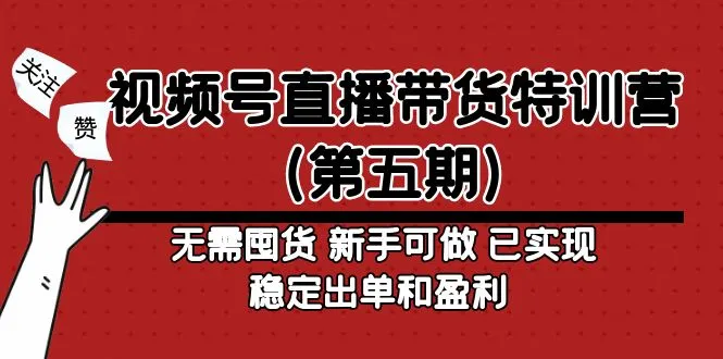 视频号直播带货特训营：无需囤货，新手可做，实现稳定出单和盈利-网赚项目