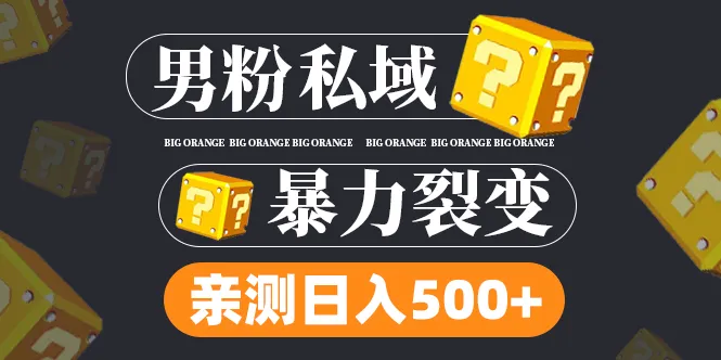 探索男性粉丝私域项目：裂变增加日增（视频教程）-网赚项目