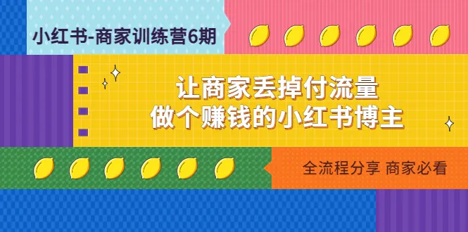 小红书商家训练营12期：成为赚钱的小红书博主的秘密揭示-网赚项目