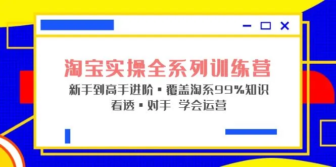 从入门到精通：淘宝实战宝典   淘系全系列进阶指南-网赚项目