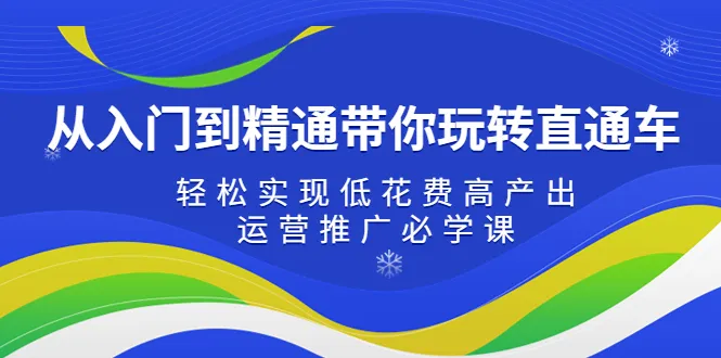 低成本高回报！专家指导，让你轻松掌握淘宝直播直通车运营技巧-网赚项目