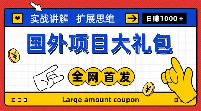 国外网赚项目大揭秘：十几种项目全攻略，小白零障碍赚美金【详解】-网赚项目