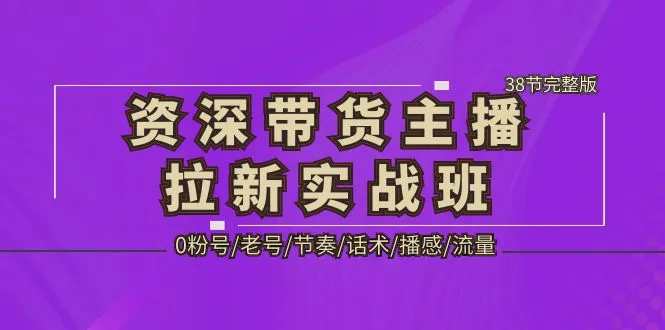 精通带货主播技巧：掌握用户对话感，提升流量与转化-网赚项目