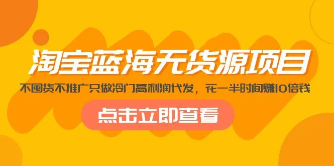 冷门暴利电商：仅用一半时间就能收获十倍回报！-网赚项目