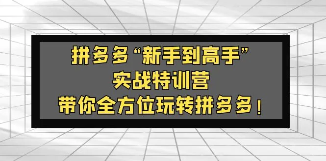 拼多多新手到高手：全方位玩转实战特训营-网赚项目