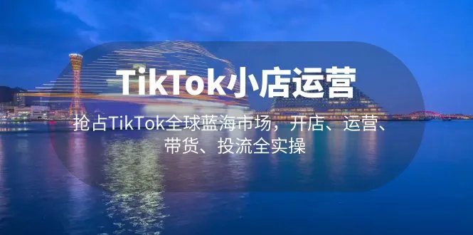 TikTok跨境电商实战：店铺开通、经营技巧、商品销售与流量导入-网赚项目