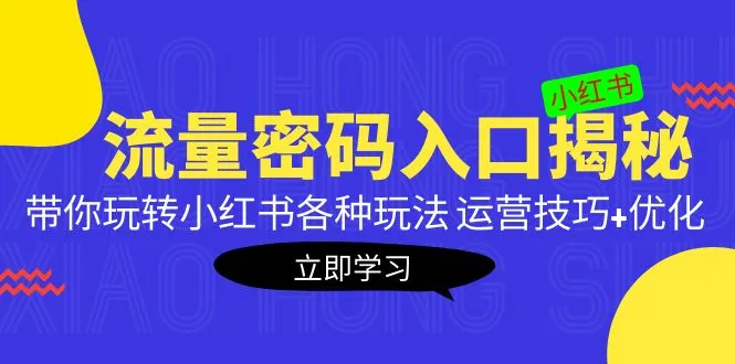 小红书流量运营秘籍：深度解析玩转各种玩法与优化技巧-网赚项目