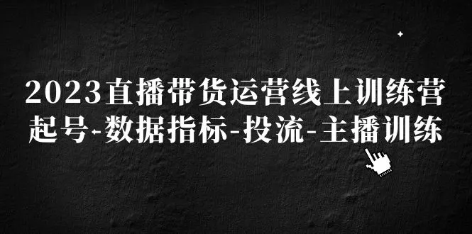 掌握直播带货运营的关键技巧与策略-网赚项目