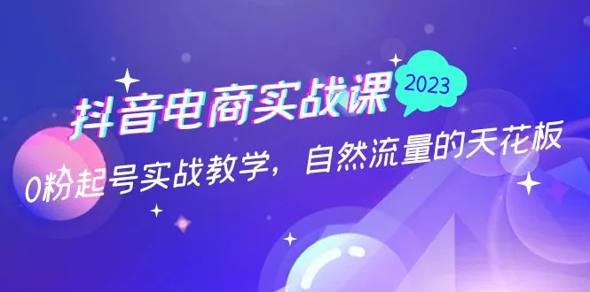 掌握自然流量的秘密：抖音电商实战课程解析-网赚项目