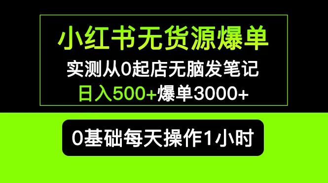 从零开始小红书无货源爆单实战：轻松打造多个爆款店铺！-网赚项目