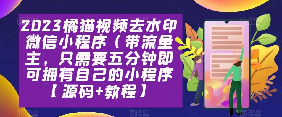 打造个性化视频小程序：橘猫去水印教程与源码分享-网赚项目