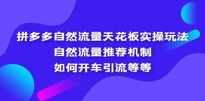 拼多多的自然流量实战教程：揭秘推荐算法，精准引流技巧-网赚项目