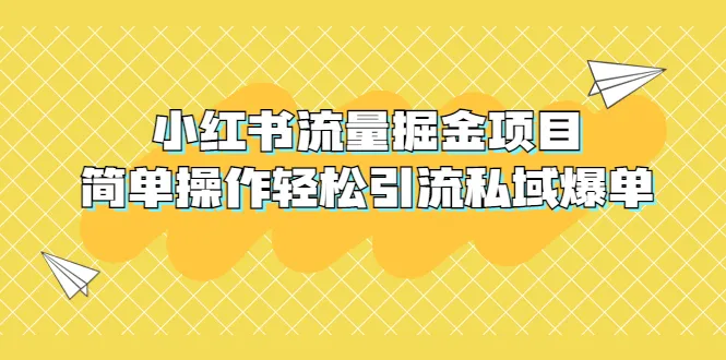 小红书引流技巧：398元轻松获取海量流量，快速打造爆款商品-网赚项目