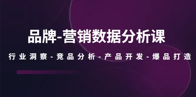 掌握数据化营销技巧：洞悉行业发展、剖析竞品动态，助您打造爆款产品-网赚项目