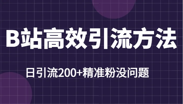 b站引流优化：日均吸粉200 ，轻松掌握这技巧！-网赚项目