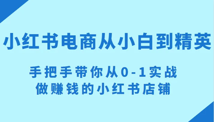 从零开始掌握小红书电商技巧，实战教程助你打造赚钱小号-网赚项目