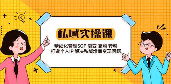 打造个人私域IP：精细管理SOP裂变复购转粉，私域增量变现教程-网赚项目