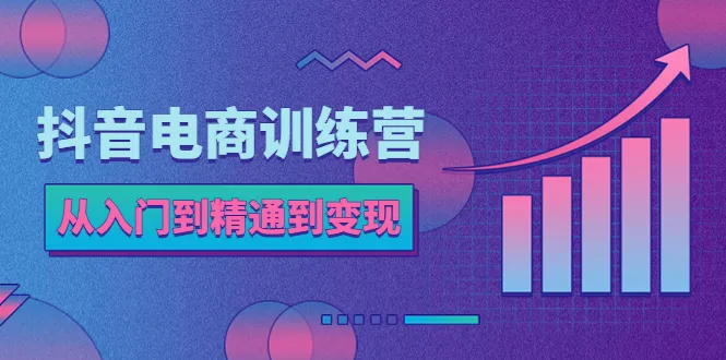 抖音电商训练营：从账号定位到流量变现，打造抖店运营新高度-网赚项目