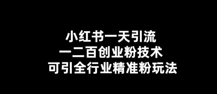 精准引流：小红书创业必备技术解析与实操指南-网赚项目