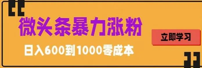 零成本暴增！学会这个方法，轻松日收入不断攀升-网赚项目