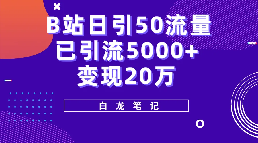 日引50 B站流量实战：5000 用户、20万收入，全程解析！-网赚项目