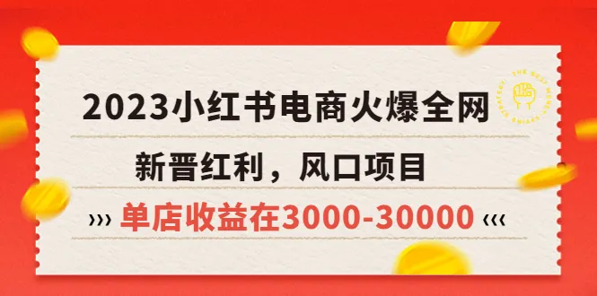 探索小红书电商：新兴风口项目解析与实战策略-网赚项目