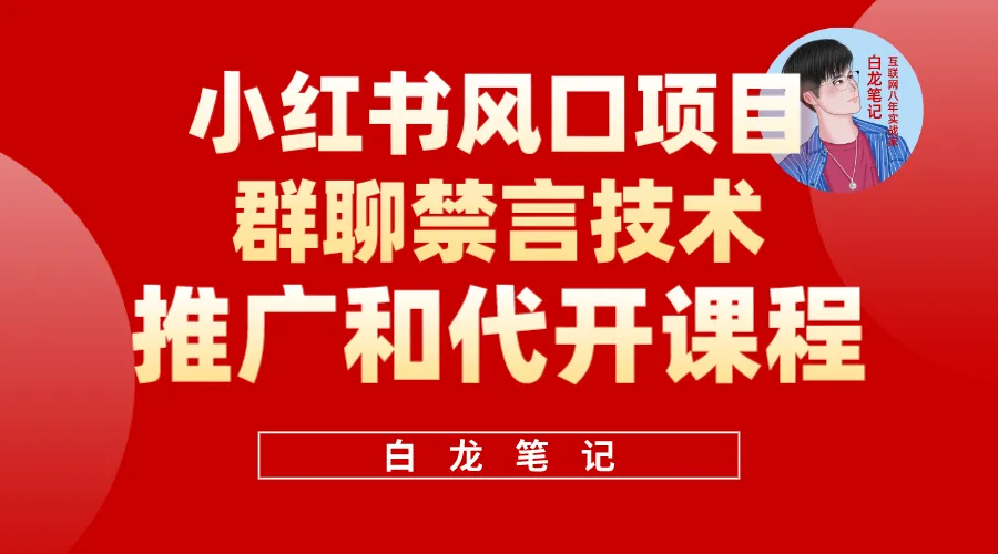 小红书风口日进斗金：小白必看！-网赚项目