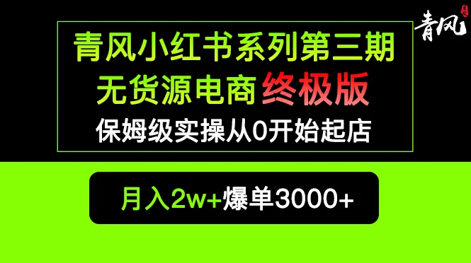 掌握爆单秘籍：小红书无货源电商终极教程解密-网赚项目