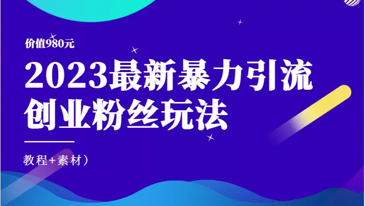 掌握暴力引流创业技巧：打造爆款视频、专业人设，安全引流变现全攻略-网赚项目