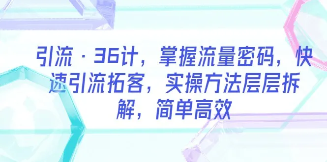 掌握流量密码：36种引流策略助力企业快速拓客-网赚项目