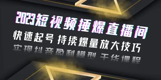 抖音直播间爆量实战技巧：揭秘2023最新短视频营销策略-网赚项目