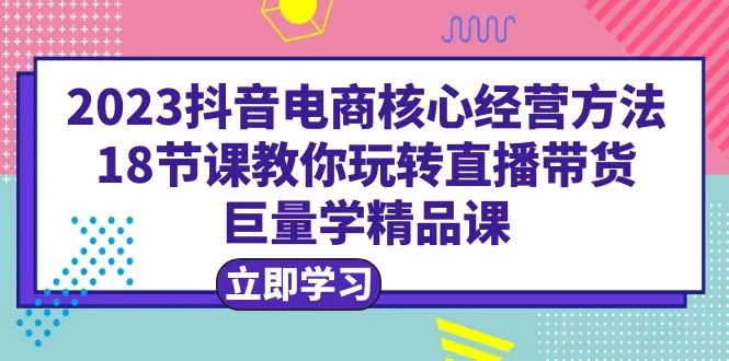 短视频平台电商运营技巧：18节完整课程 实战案例-网赚项目