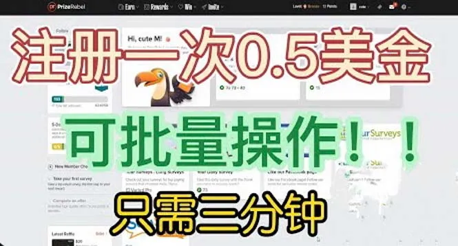 3分钟快速创建海外项目，小白福利大放送！-网赚项目