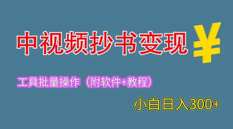 2023年中视频抄书变现：轻松日增更多，手把手教学 实用工具推荐-网赚项目