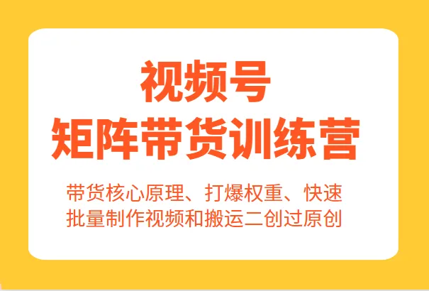 视频号带货：矩阵训练营解锁核心原理与高效批量制作技巧-网赚项目