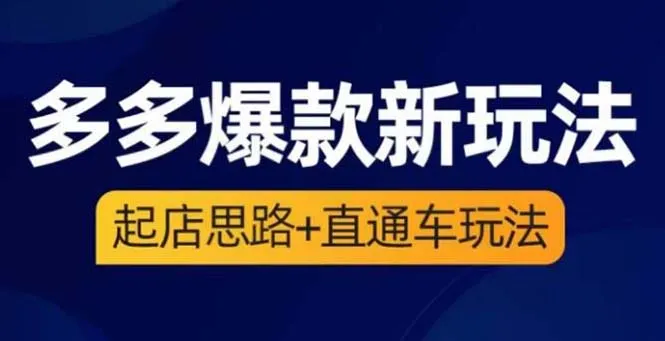 新玩法来袭！2023年拼多多爆款教程：起店策略与直通车实战指南视频课程-网赚项目