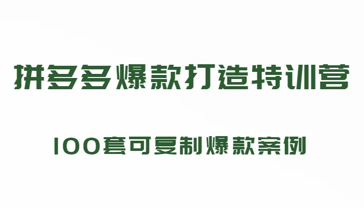 199元拼多多的爆款打造课程：100套可复制的爆款案例（持续更新）-网赚项目