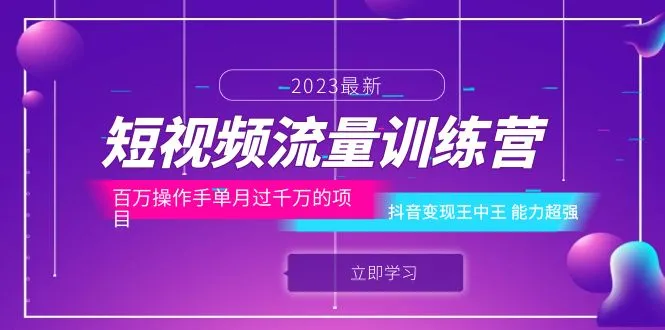 掌握抖音变现技巧，开启短视频流量训练营之旅-网赚项目