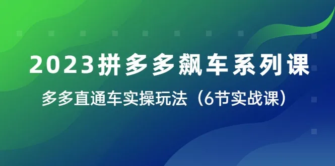 掌握拼多多飙车秘籍：多多直通车实战全揭秘-网赚项目