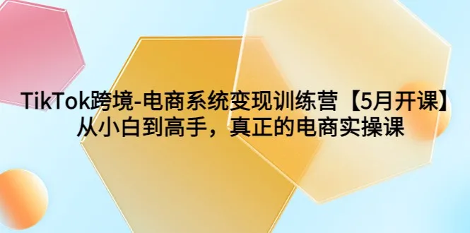 掌握TikTok跨境电商：从新手到高手的实操训练【5月最新课程】