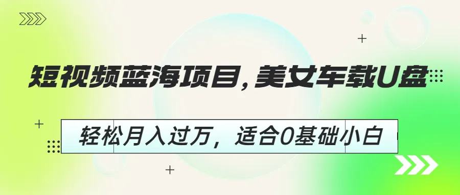 车载美眉车载U盘，轻松月入增多！零基础也能做-网赚项目