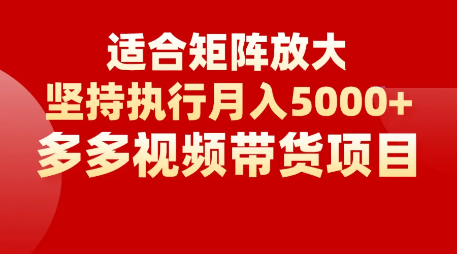 打造月收入更多 的视频带货矩阵：新手老手皆适，零门槛项目详解-网赚项目