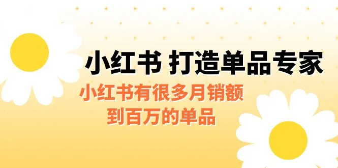 揭秘小红书单品创业的成功秘诀：打造个人品牌，月销*万不是梦想-网赚项目