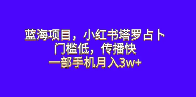 蓝海项目 小-网赚项目