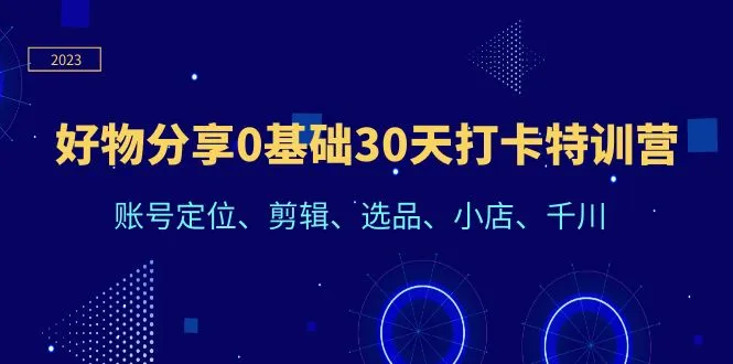 零基础30天电商运营特训营-网赚项目