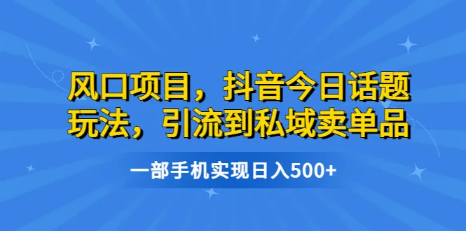 利用抖音风口项目，掌握今日话题玩法，收入增多的秘密武器：仅需一部手机-网赚项目